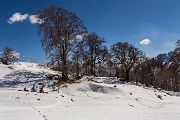 _MG_8117