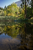 IMG_3377_resize