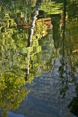 IMG_3386_resize