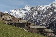 IMG-114