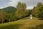 Salita da Fonteno al Monte Boario nel giorno della "Cavalcata tra Monti e Laghi" di Maurizio Agazzi il 6 giugno 2010 - FOTOGALLERY