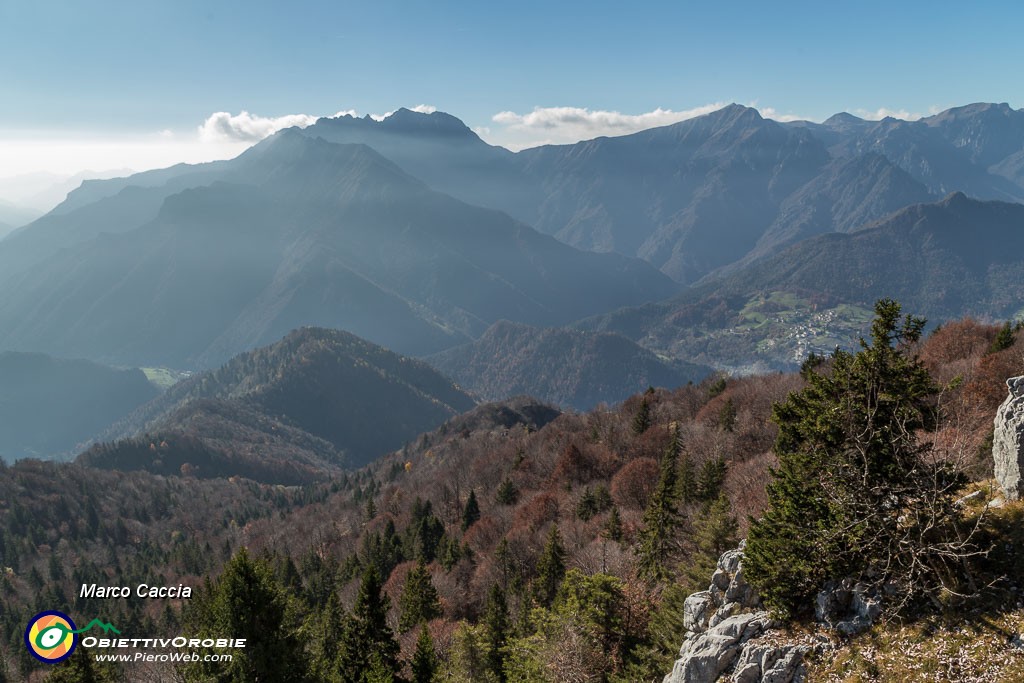 _MG_9447.JPG