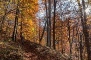 _MG_9389