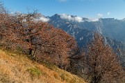 _MG_9432
