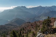 _MG_9447