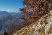 _MG_9462