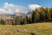 Sabato 31 ottobre 2015 – Anello Monte Faino - FOTOGALLERY