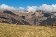 _MG_9553