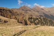Sabato 31 ottobre 2015 – Anello Monte Faino - FOTOGALLERY