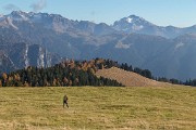 _MG_9599
