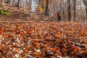 _MG_9653