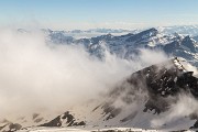 IMG_7921