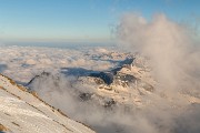 IMG_7927