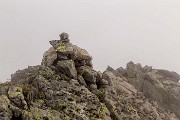 _MG_3684