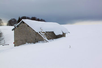 Salita invernale con tanta neve fresca in Ortighera con pranzetto in baita al caldo sabato 6 febbraio 2010 - FOTOGALLERY