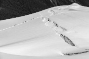 Domenica 11 luglio 2013 – Monte Ortles (3905 m.)  - FOTOGALLERY