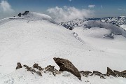 _MG_0330
