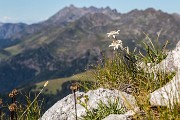 Mercoledì 15 Agosto 2018 – M.te Pegherolo- FOTOGALLERY