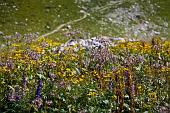 39_Fioriture