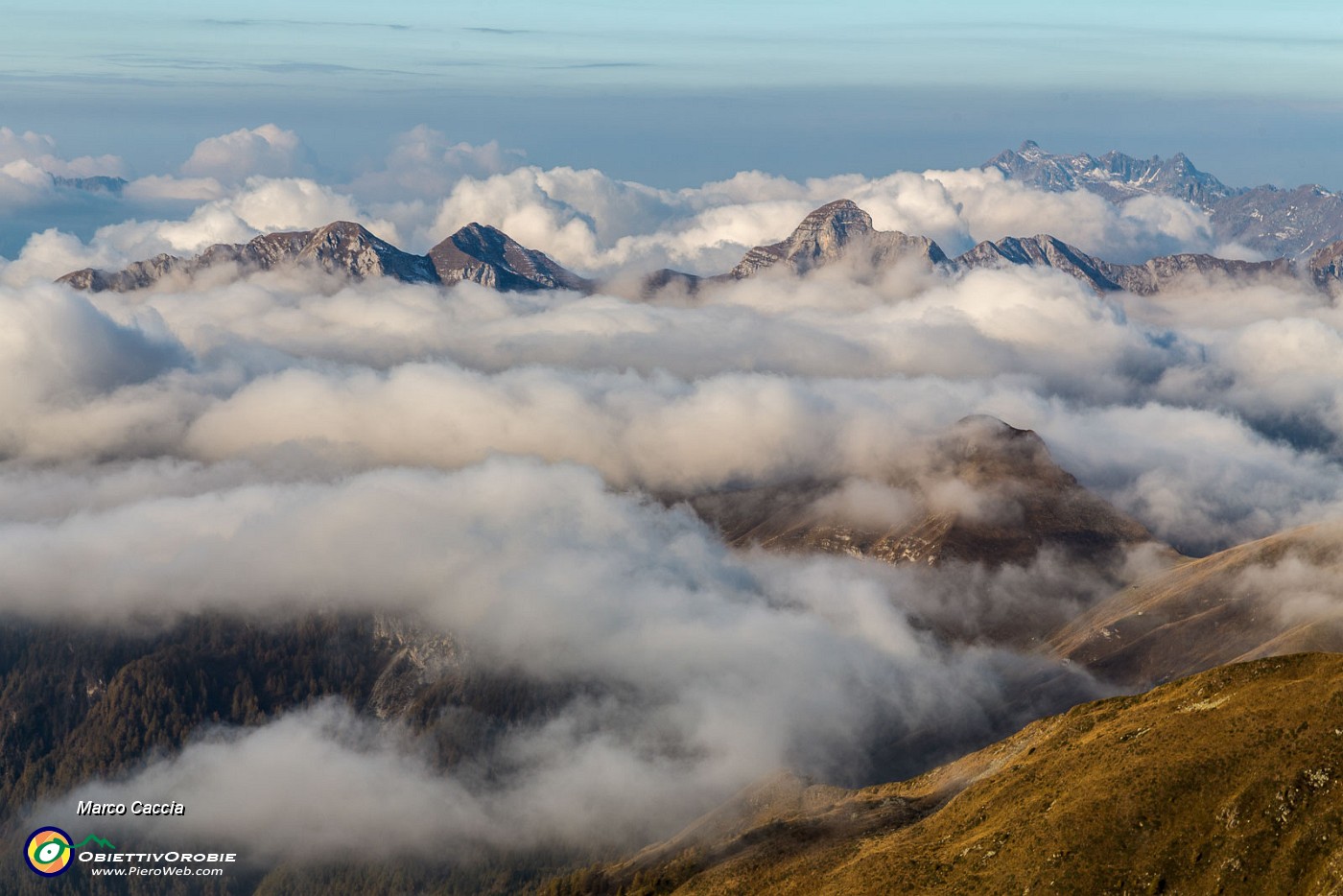 _MG_3658.JPG