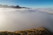 _MG_3629