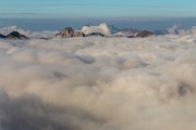 _MG_3641
