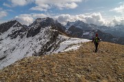 _MG_3734