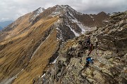 _MG_3746