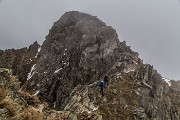 _MG_3780