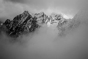 _MG_3803