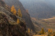 _MG_3809