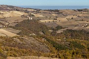 _MG_8631