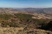 _MG_8679