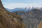 Monte Pietra Quadra dal Canale nord  - FOTOGALLERY