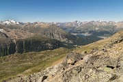 IMG_2356