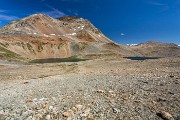 IMG_2475