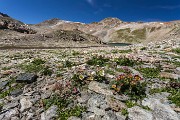 IMG_2493
