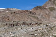 IMG_2530