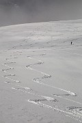 _MG_0891