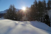 Domenica 23 febbraio 2014 – Piz Grevasalvas - FOTOGALLERY