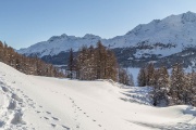 Domenica 23 febbraio 2014 – Piz Grevasalvas - FOTOGALLERY