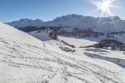 IMG_8911