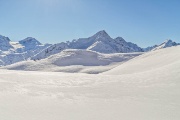 IMG_8930