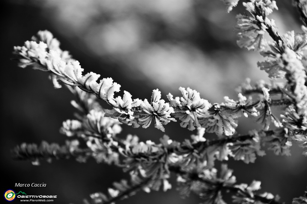 IMG_4918-2_resize.JPG