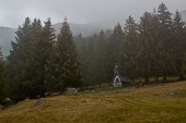 IMG_4880_resize