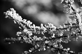 IMG_4918-2_resize