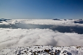 IMG_4938_resize
