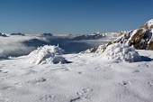 IMG_4972_resize