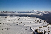 IMG_4983_resize
