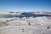IMG_4984_resize